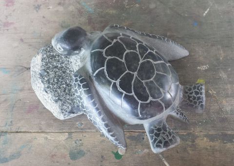 Tortue